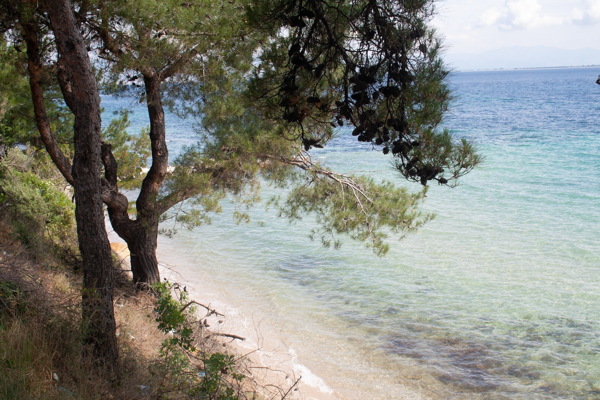 Die griechische Insel Thassos